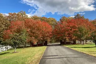 12520 Paige Ln, Fredericksburg, VA 22407 - Photo 103