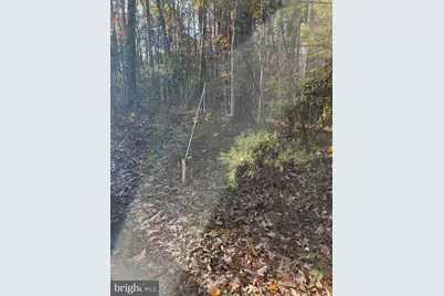 7120 Dominique Drive, Spotsylvania, VA 22551 - Photo 5