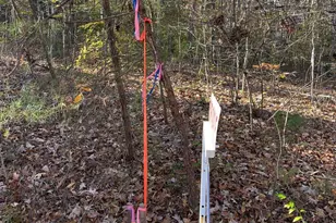 7120 Dominique Dr, Spotsylvania, VA 22551 - Photo 3