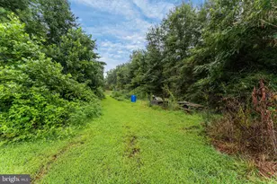 2105 Mt Olive Rd, Beaverdam, VA 23015 - Photo 25