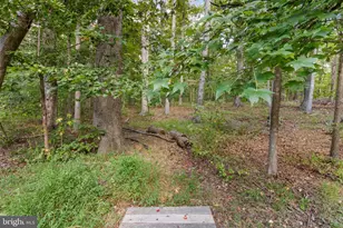 11913 Old Hickory Ct, Spotsylvania, VA 22551 - Photo 55