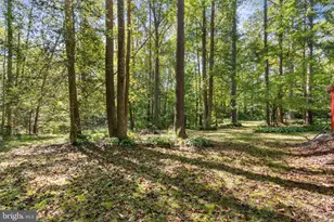 6035 Towles Mill Rd, Partlow, VA 22534 - Photo 53