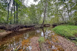 10812 Millridge Ln, Spotsylvania, VA 22553 - Photo 41