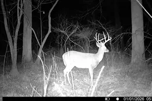 10812 Millridge Ln, Spotsylvania, VA 22553 - Photo 25