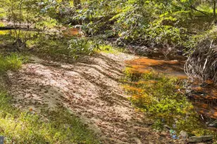 12905 Spotswood Furnace Rd, Fredericksburg, VA 22407 - Photo 11