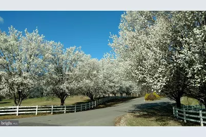 5501 Oak Court, Mineral, VA 23117 - Photo 77