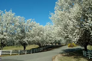 5501 Oak Ct, Mineral, VA 23117 - Photo 77