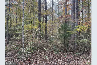 8105 Wade Street, Partlow, VA 22534 - Photo 1