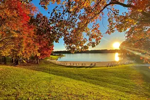 11906 Old Elm Ct, Spotsylvania, VA 22551 - Photo 49