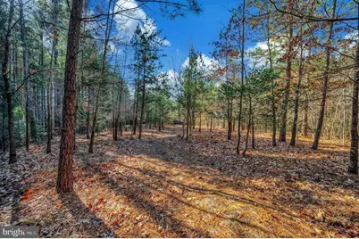 11532 Taylor Ridge Way, Spotsylvania, VA 22551 - Photo 45