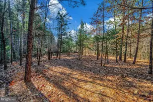 11532 Taylor Ridge Way, Spotsylvania, VA 22551 - Photo 45