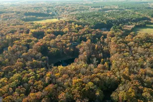 10325 Mill Pond Rd, Spotsylvania, VA 22551 - Photo 41