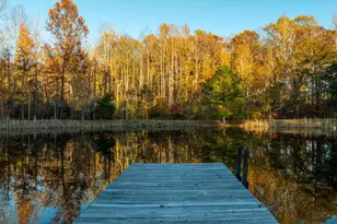 10325 Mill Pond Rd, Spotsylvania, VA 22551 - Photo 27