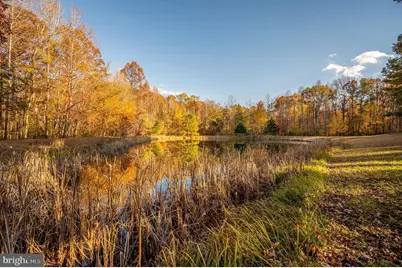 10325 Mill Pond Road, Spotsylvania, VA 22551 - Photo 25