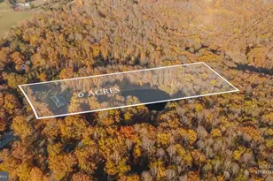 10325 Mill Pond Rd, Spotsylvania, VA 22551 - Photo 5