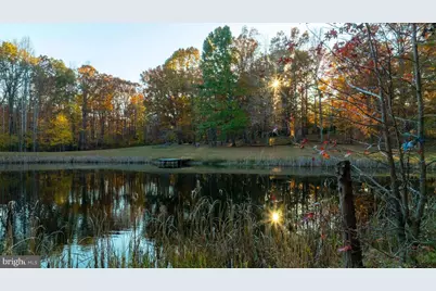 10325 Mill Pond Road, Spotsylvania, VA 22551 - Photo 35