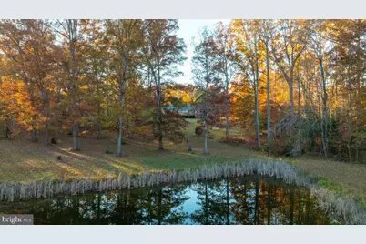 10325 Mill Pond Road, Spotsylvania, VA 22551 - Photo 33