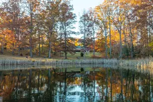 10325 Mill Pond Rd, Spotsylvania, VA 22551 - Photo 35