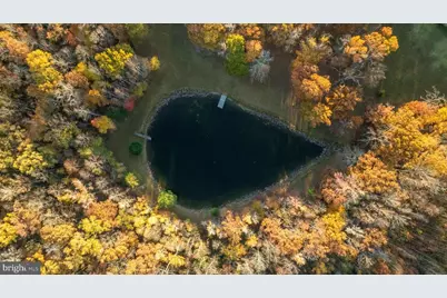 10325 Mill Pond Road, Spotsylvania, VA 22551 - Photo 5