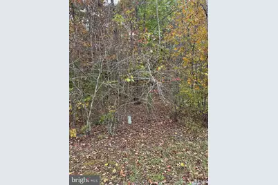 10150 Rainbow Lane, Spotsylvania, VA 22551 - Photo 5