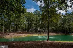 11204 Honor Bridge Farm Pl Pl, Spotsylvania, VA 22551 - Photo 69