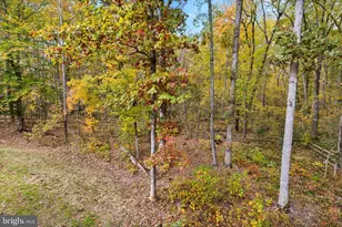 9113 Royal Ct, Partlow, VA 22534 - Photo 31