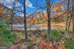 9406 Braken Ct, Fredericksburg, VA 22408 - Photo 49