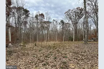 14409 Spotswood Furnace Road, Fredericksburg, VA 22407 - Photo 3