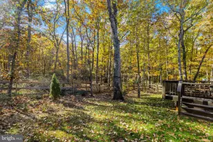 12611 Wilderness Park Dr, Spotsylvania, VA 22551 - Photo 9