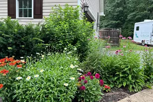 13403 Alva Brooks Ln, Spotsylvania, VA 22551 - Photo 7