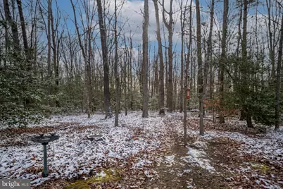 2407 Butler Road, Beaverdam, VA 23015 - Photo 115