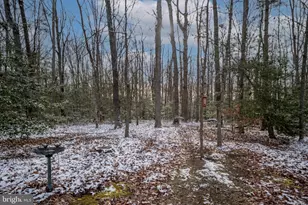 2407 Butler Rd, Beaverdam, VA 23015 - Photo 115