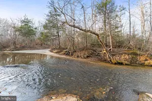 5531 Hams Ford Rd, Woodford, VA 22580 - Photo 49