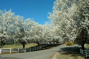 5501 Hickory Tree Ln, Mineral, VA 23117 - Photo 77