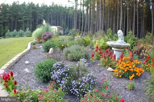 10041 Tarrington Wy, Spotsylvania, VA 22551 - Photo 81