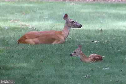 13608 S General Slocum Court, Fredericksburg, VA 22407 - Photo 69