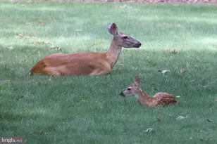 13608 S General Slocum Ct, Fredericksburg, VA 22407 - Photo 69