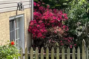 6120 N Danford St, Fredericksburg, VA 22407 - Photo 49