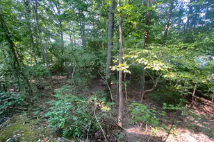 4115 Corbin Hall Ln, Fredericksburg, VA 22408 - Photo 41