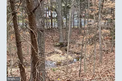 4115 Corbin Hall Lane, Fredericksburg, VA 22408 - Photo 39