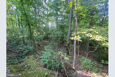 4115 Corbin Hall Lane, Fredericksburg, VA 22408 - Photo 35