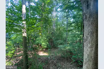 4115 Corbin Hall Lane, Fredericksburg, VA 22408 - Photo 33