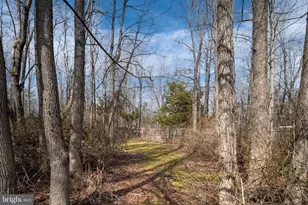 10610 King Eider Ct, Spotsylvania, VA 22553 - Photo 123