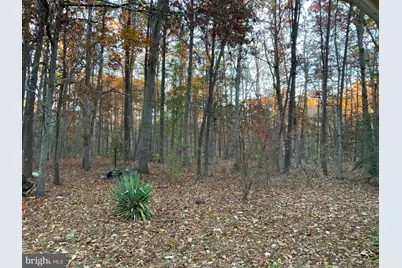 9000 Fox Run Drive, Spotsylvania, VA 22551 - Photo 13