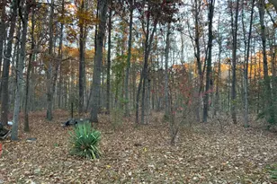 9000 Fox Run Dr, Spotsylvania, VA 22551 - Photo 13