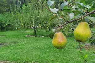 312 Timber Trail, Spotsylvania, VA 22551 - Photo 39