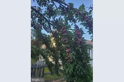 312 Timber Trail, Spotsylvania, VA 22551 - Photo 47