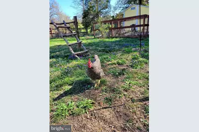 312 Timber Trail, Spotsylvania, VA 22551 - Photo 21