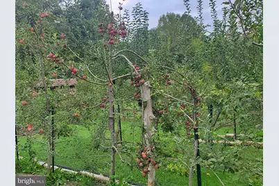 312 Timber Trail, Spotsylvania, VA 22551 - Photo 59