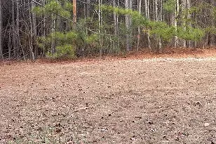 13319 W Catharpin Rd, Spotsylvania, VA 22551 - Photo 11